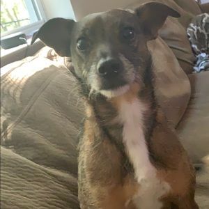 Meet your Posher, Johnathan